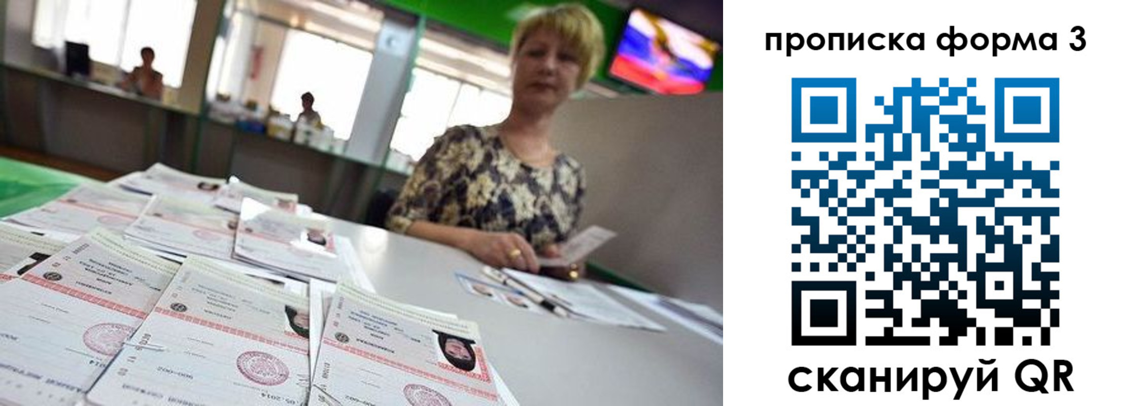 прописка 2025 в Сафоново